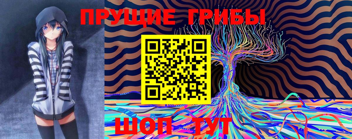 Псилоцибиновые грибы Psilocybe  Вход с VPN  Майкоп  Галлюциногенные грибы мицелий 